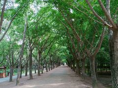 -艾山风景名胜区