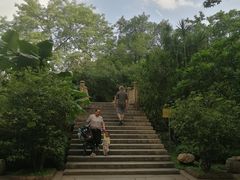 -晓港公园