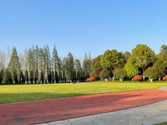 -合肥滨湖国家森林公园