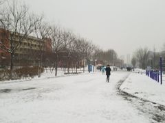 白玉兰路-山东大学(兴隆山校区)