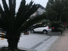 -苏州西交利物浦大学国际会议中心