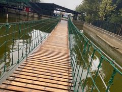 -梦幻奥陶纪景区