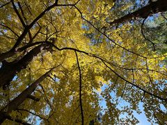 -香山公园-东宫门售票处