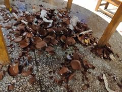 -巴人堂(女儿城店)