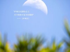 -厦门悦华酒店