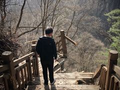 -陕西省红河谷森林公园