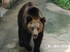 -广州动物园