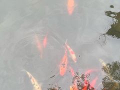 -苏州河梦清园环保主题公园