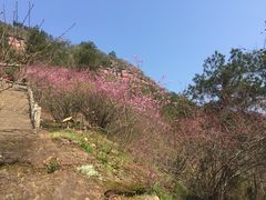 -天台山赤城山景区