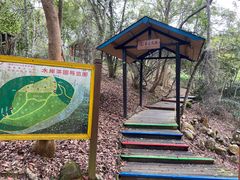 -天台国家森林公园水上茶乡九鹏溪