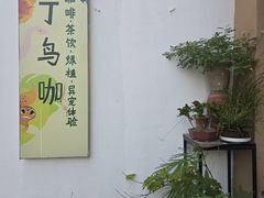 -吉丁鸟咖·异宠·寄养