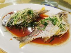 蒸立鱼-大笑饭堂(甲子桥店)