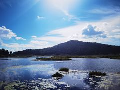 -腾冲北海湿地