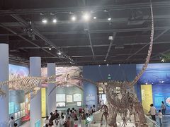 -国家自然博物馆