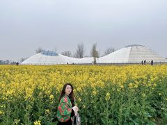 -中国天府农业博览园