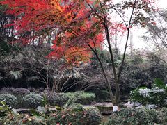-龙头寺公园