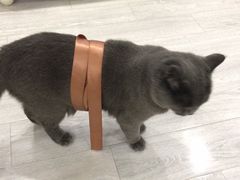 -积慕Cake(解放大道店)