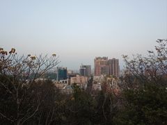 -佛山华盖山公园