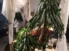 -植物学家的女儿(北马道巷店)