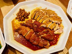 豉油鸡盐焗鸡双拼-金戈戈香港豉油鸡(南山海岸城店)