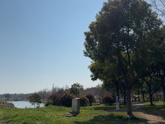 -贡湖湾湿地公园