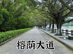 -大湾区中央湿地公园