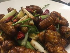 -南山鲜虾面·活鲜小馆·海味大连菜(南山总店)