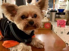 -Line来恩咖啡(石厦花园店)