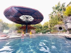 -雅安楠水阁温泉酒店