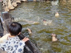 -华夏文旅海洋公园