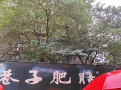 -巷子肥肠(科华巷店)