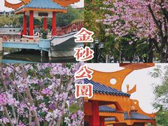 -金砂公园