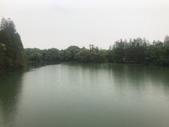 -东湖落雁景区
