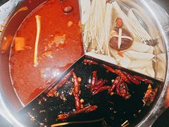 菌汤金汤鸳鸯锅底-董家湾重庆老火锅(张家窝店)
