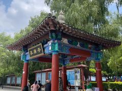-莲花池公园