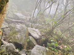 -九峰山