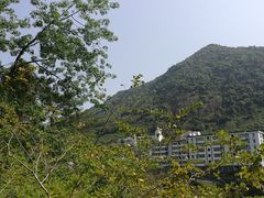 -广州市流溪河国家森林公园