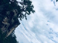 -牛背梁国家森林公园