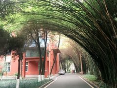 -贵州师范大学(宝山北路校区)