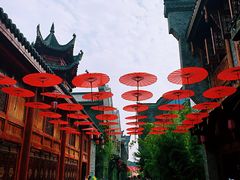 -武汉园博园(武汉自然博物馆)