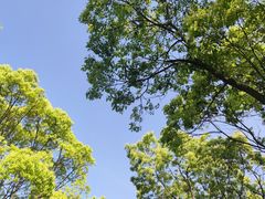 -东钱湖旅游度假区