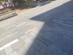 -颜氏双江清水鱼一养身火锅(磁器口店)