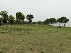 -漕湖湿地公园