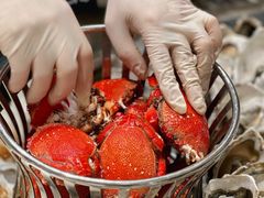 -太湖饭店玉兰厅(自助餐厅)