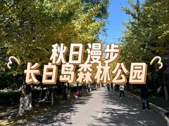 -长白岛森林公园