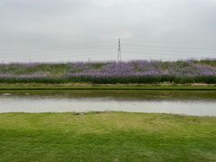 -迪茵湖田家舍生态农场