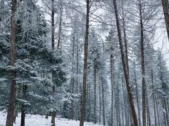 -硗碛藏寨·神木垒景区
