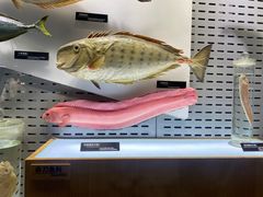 -青岛海底世界-水族馆