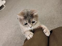 -明月雅筝古筝培训