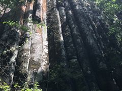 -望天鹅景区